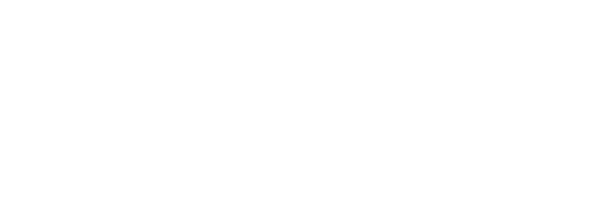 Honor_(brand)-Logo.white